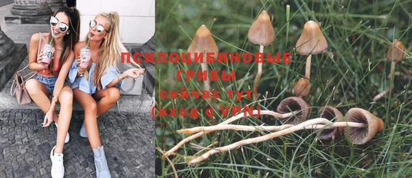 твердый Нея