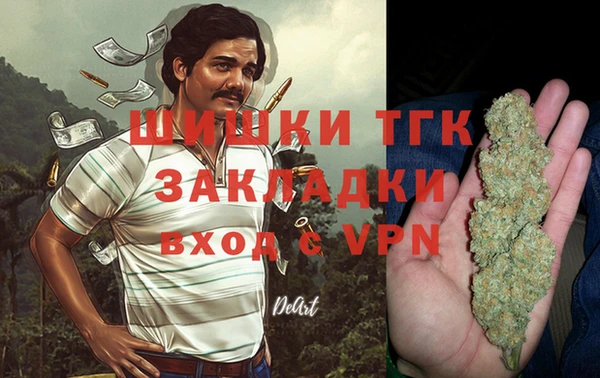 стаф Новозыбков