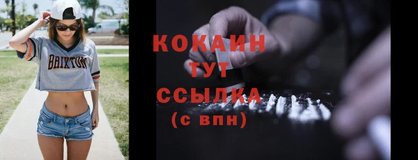 стаф Новозыбков