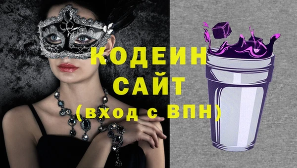 стаф Новозыбков