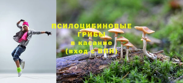 MESCALINE Новодвинск