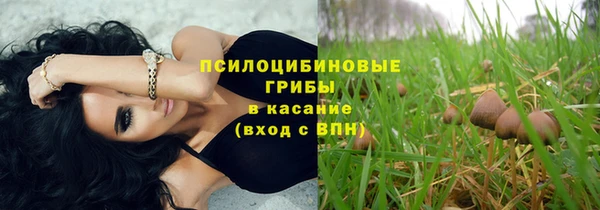твердый Нея