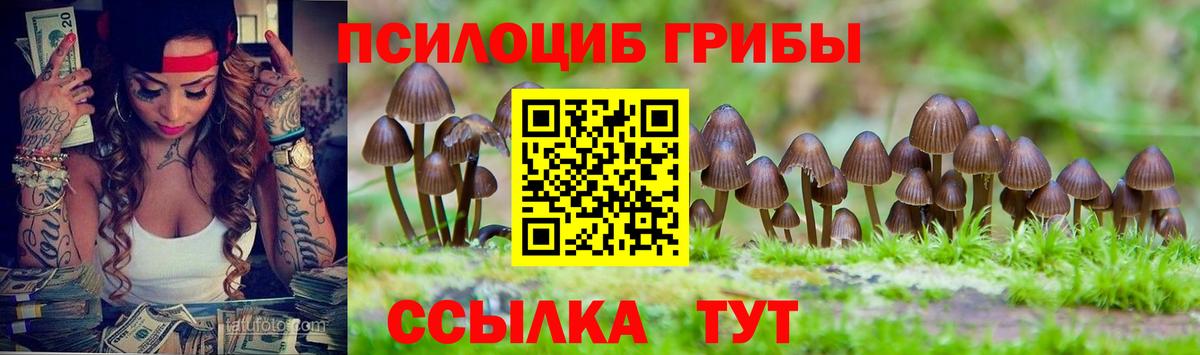 Галлюциногенные грибы ЛСД  Вход с VPN  Богородицк  Галлюциногенные грибы MAGIC MUSHROOMS 