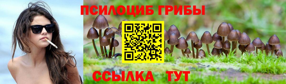 Галлюциногенные грибы MAGIC MUSHROOMS Богородицк